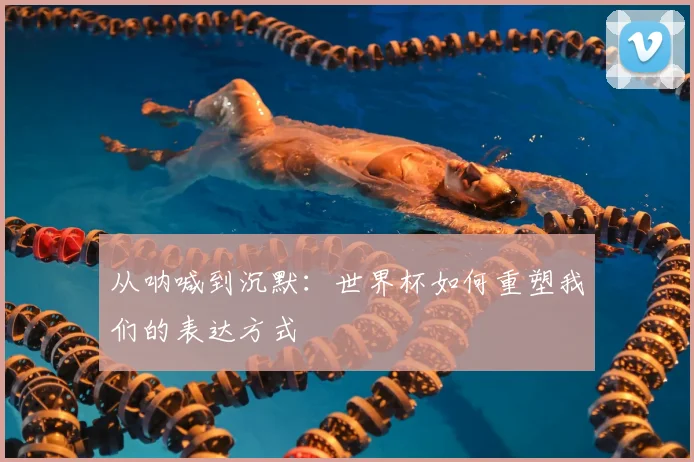 从呐喊到沉默：世界杯如何重塑我们的表达方式