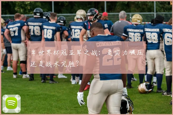 年世界杯冠亚军之战:是实力碾压还是战术完胜?