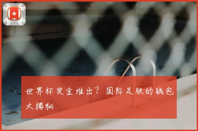 世界杯奖金谁出？国际足联的钱包大揭秘